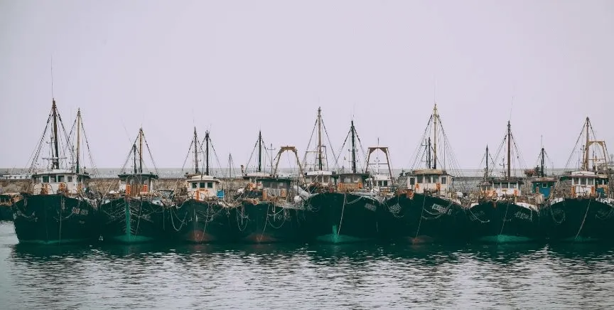 2. China Ports